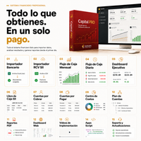 Capital PRO: Flujo de Caja con Dashboard y Análisis SII