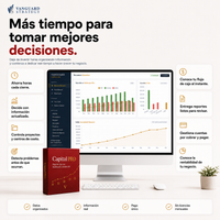 Capital PRO: Flujo de Caja con Dashboard y Análisis SII