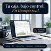 Capital PRO: Flujo de Caja con Dashboard y Análisis SII